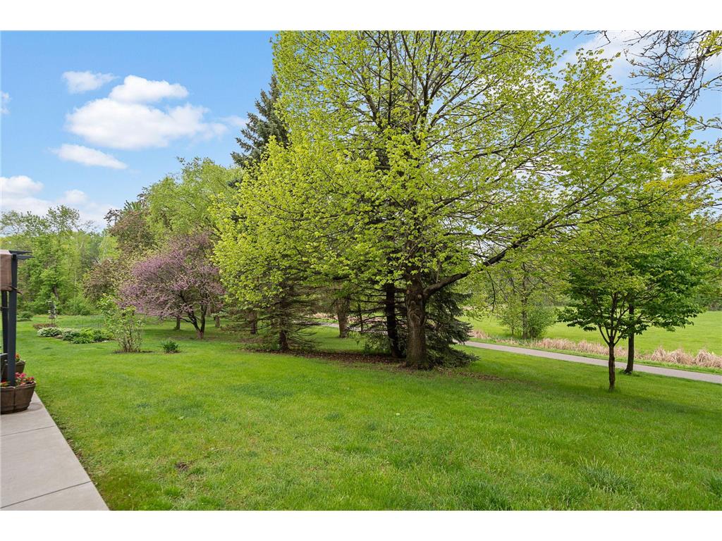 14925 45th Avenue N Plymouth MN 55446 7068038 image39