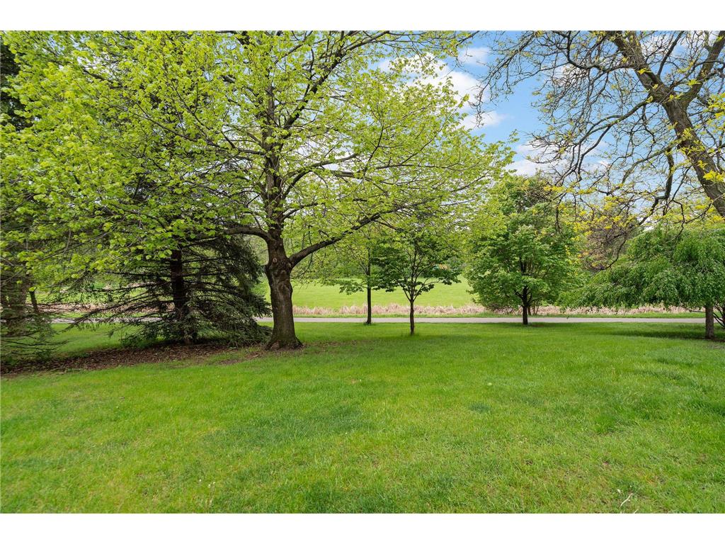 14925 45th Avenue N Plymouth MN 55446 7068038 image40