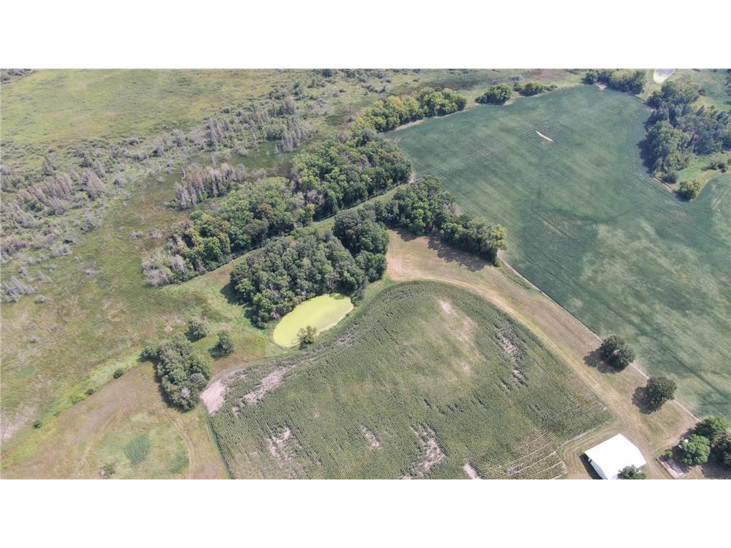 14925 Hornsby Street NE Columbus MN 55025 6252160 image11