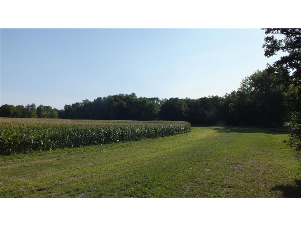 14925 Hornsby Street NE Columbus MN 55025 6252160 image18