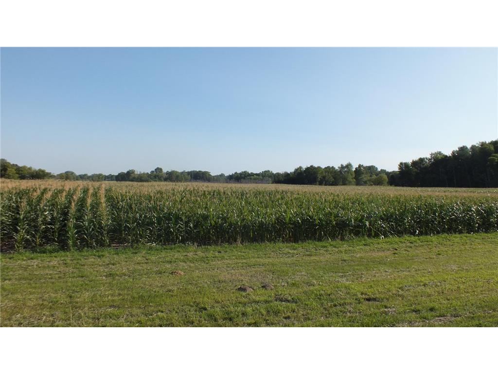 14925 Hornsby Street NE Columbus MN 55025 6252160 image19