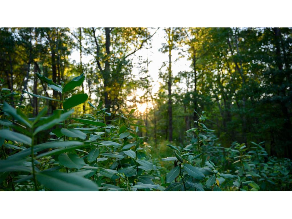 14936 Welton Road Baxter MN 56425 7000850 image42