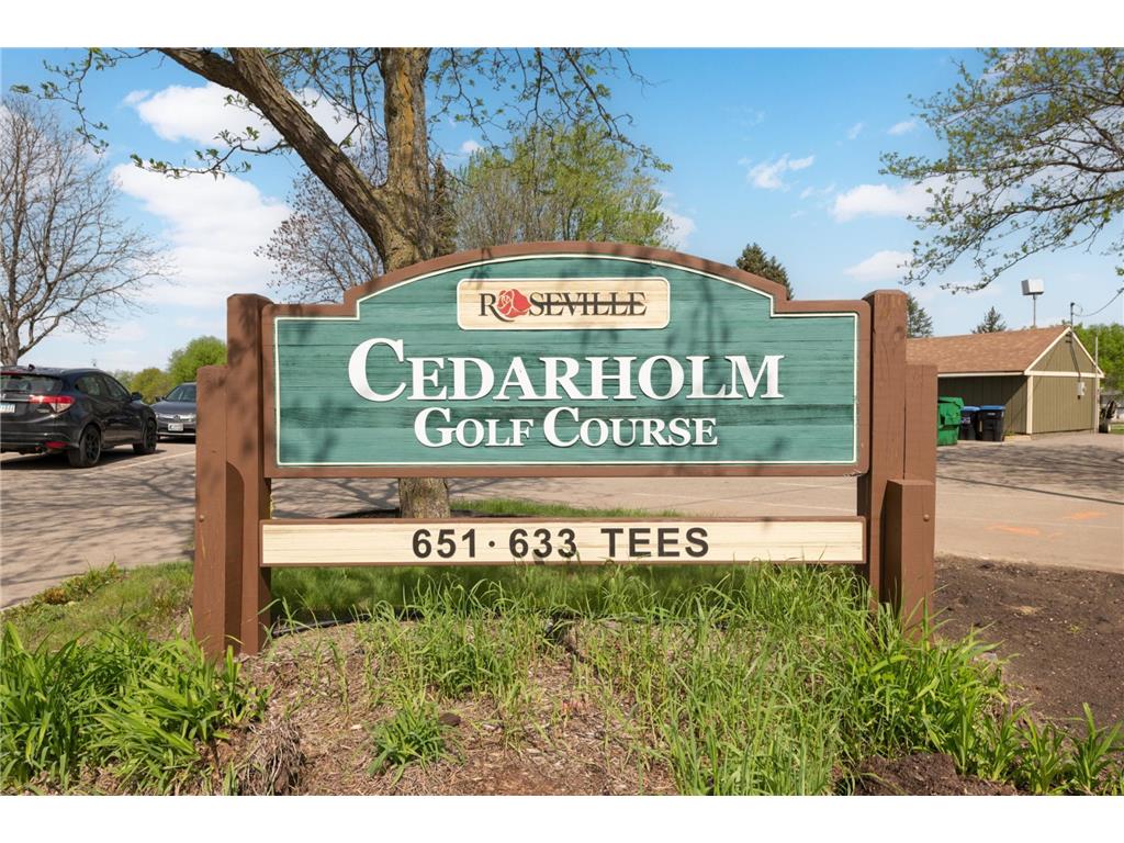1495 County Road B2 W Roseville MN 55113 - Zimmerman Lake 7087936 image34