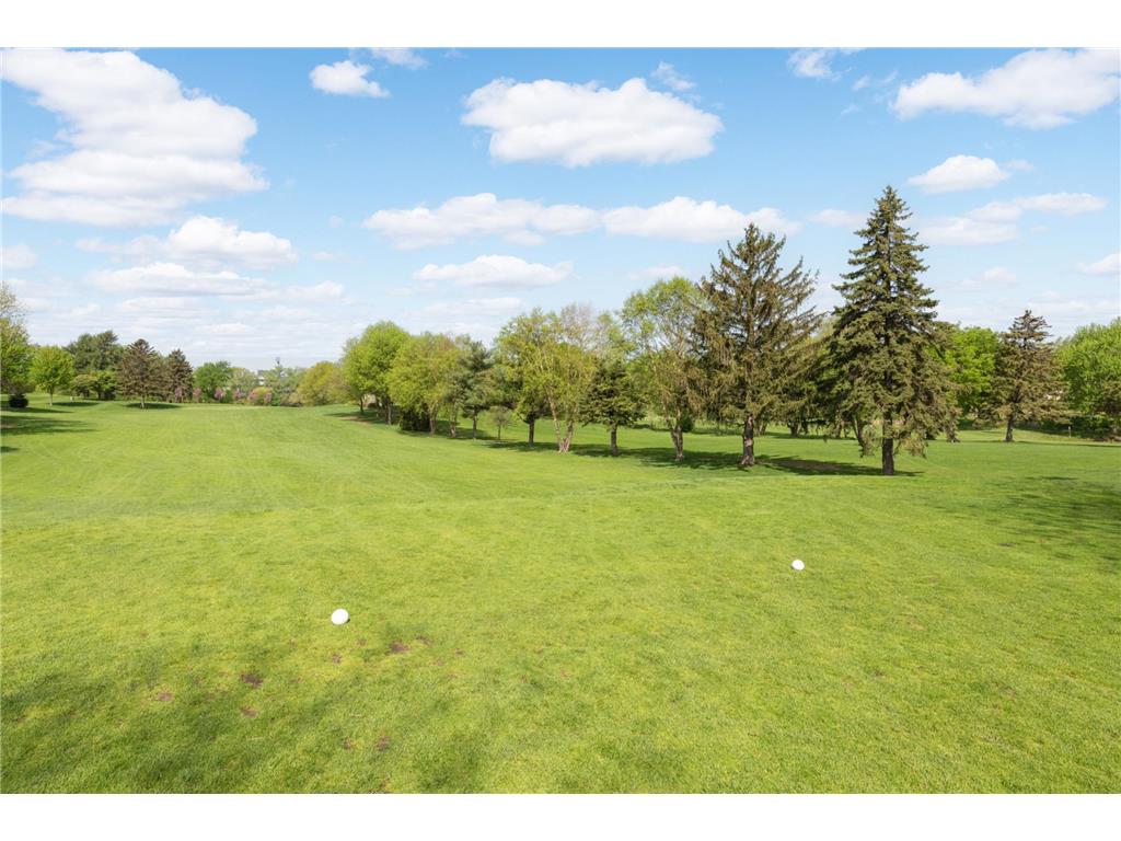 1495 County Road B2 W Roseville MN 55113 - Zimmerman Lake 7087936 image36