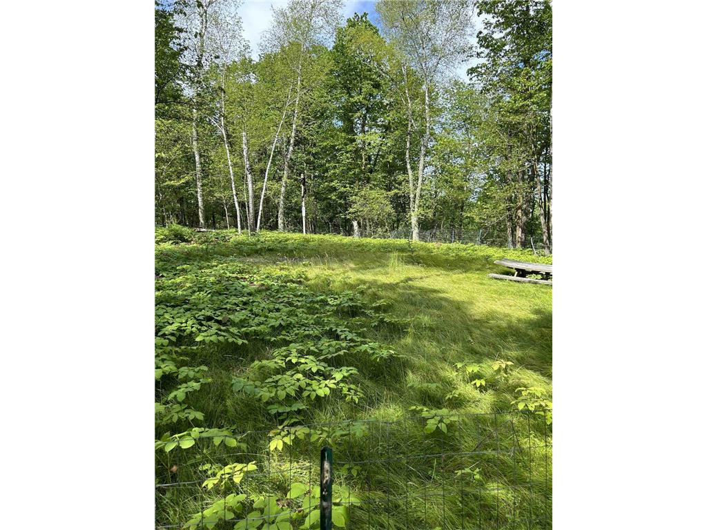 14967 Cedar Drive Nevis MN 56467 - Fourth Crow Wing 6401635 image1