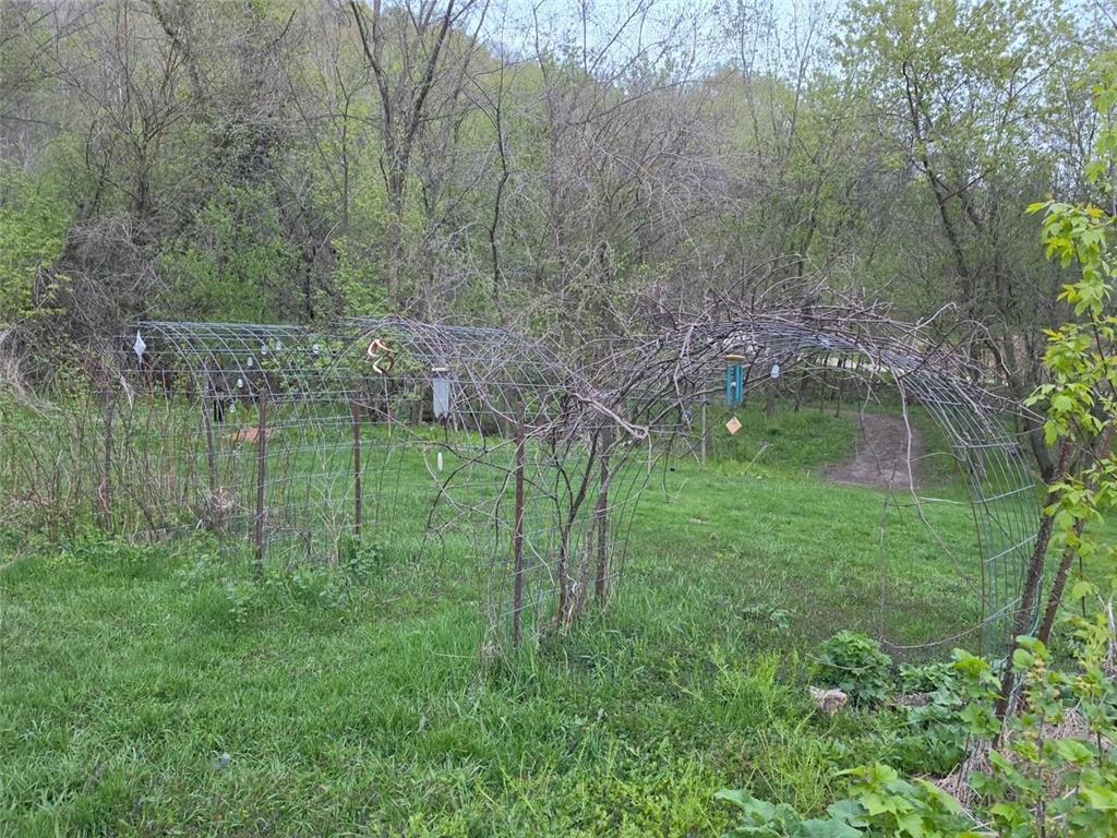14968 County Road 25 Rollingstone MN 55969 7085405 image15