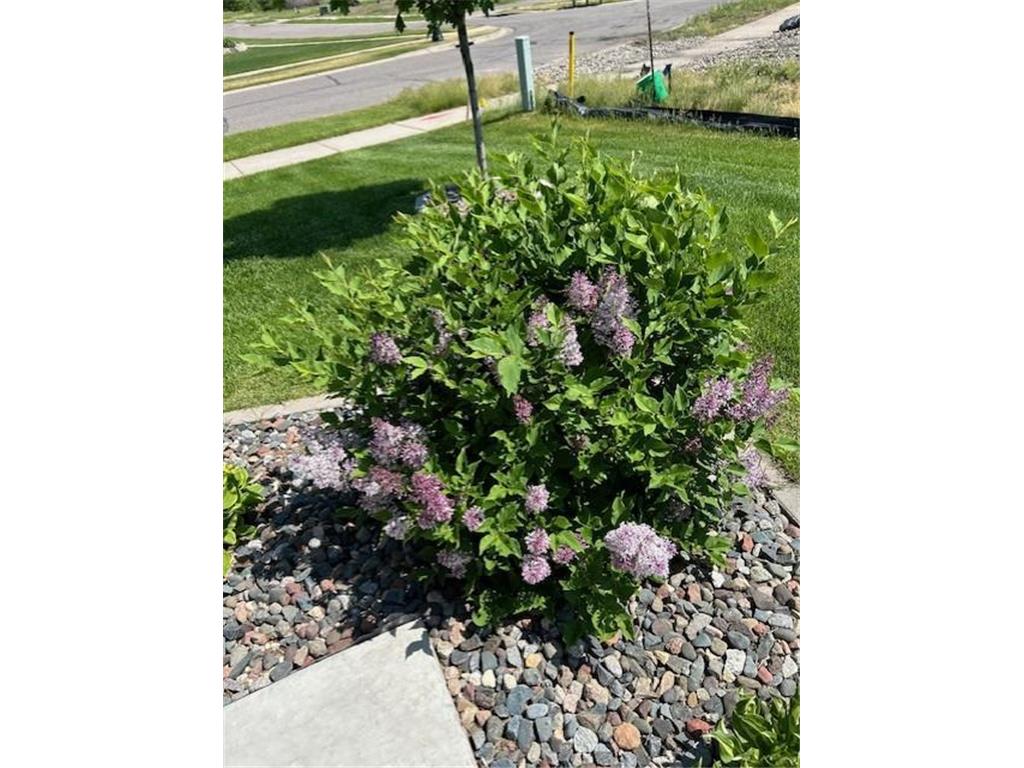 14971 Jade Street SE Becker MN 55308 7027861 image22