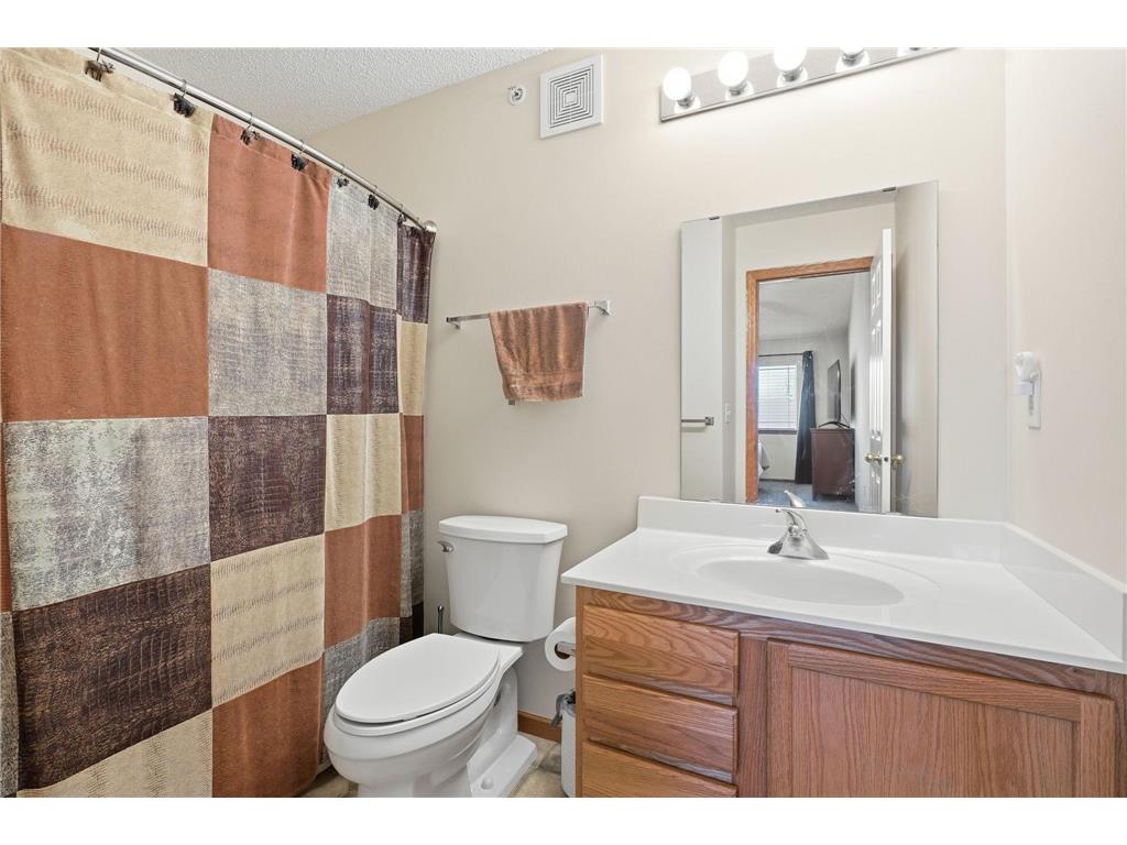 14974 Chestnut Lane Savage MN 55378 7041713 image13