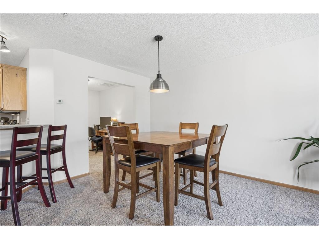 14974 Chestnut Lane Savage MN 55378 7041713 image9