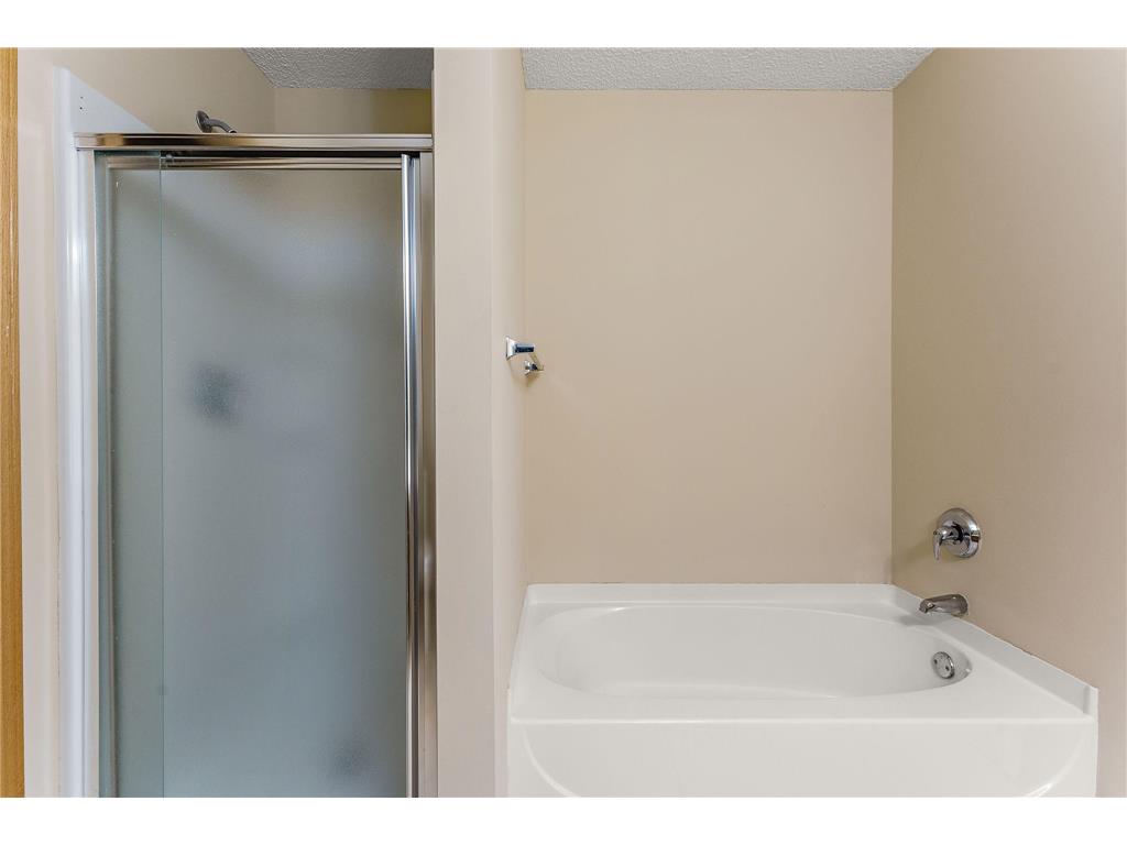 14975 Pinto Lane Savage MN 55378 7048543 image21