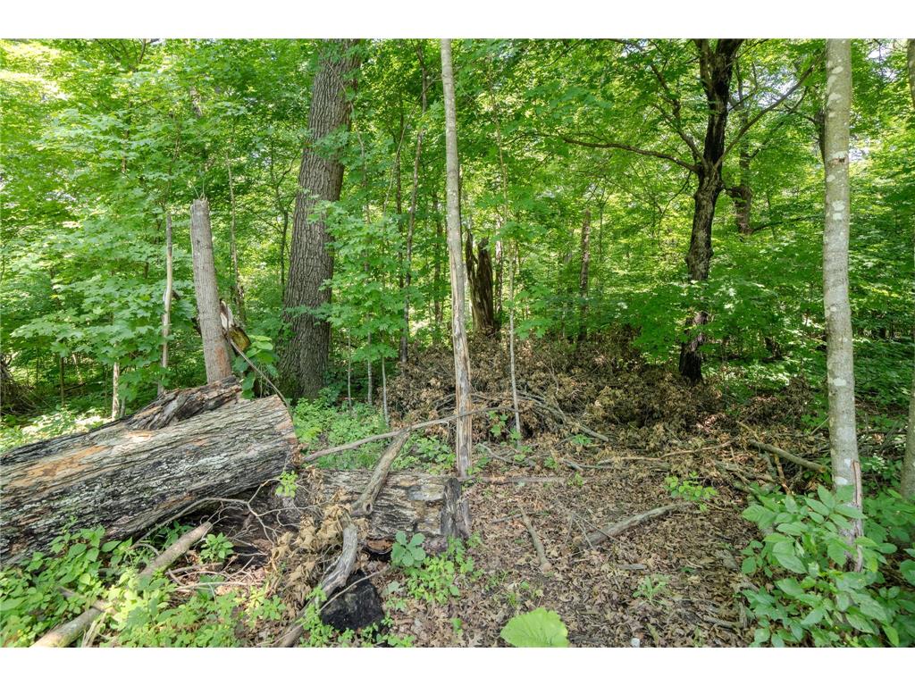 1498 Cable Road Swanville Twp MN 56382 7107079 image60