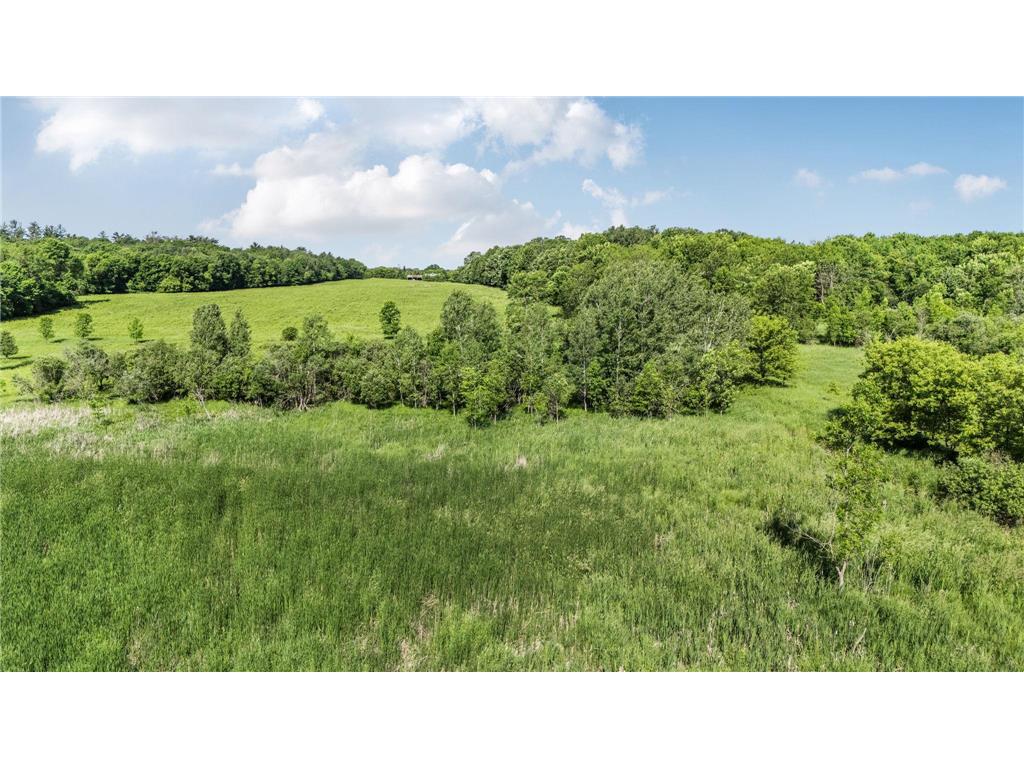 14991 55th Avenue Borgholm Twp MN 56353 7088167 image71