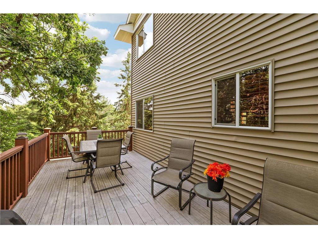 14995 Chestnut Lane Savage MN 55378 7103217 image28