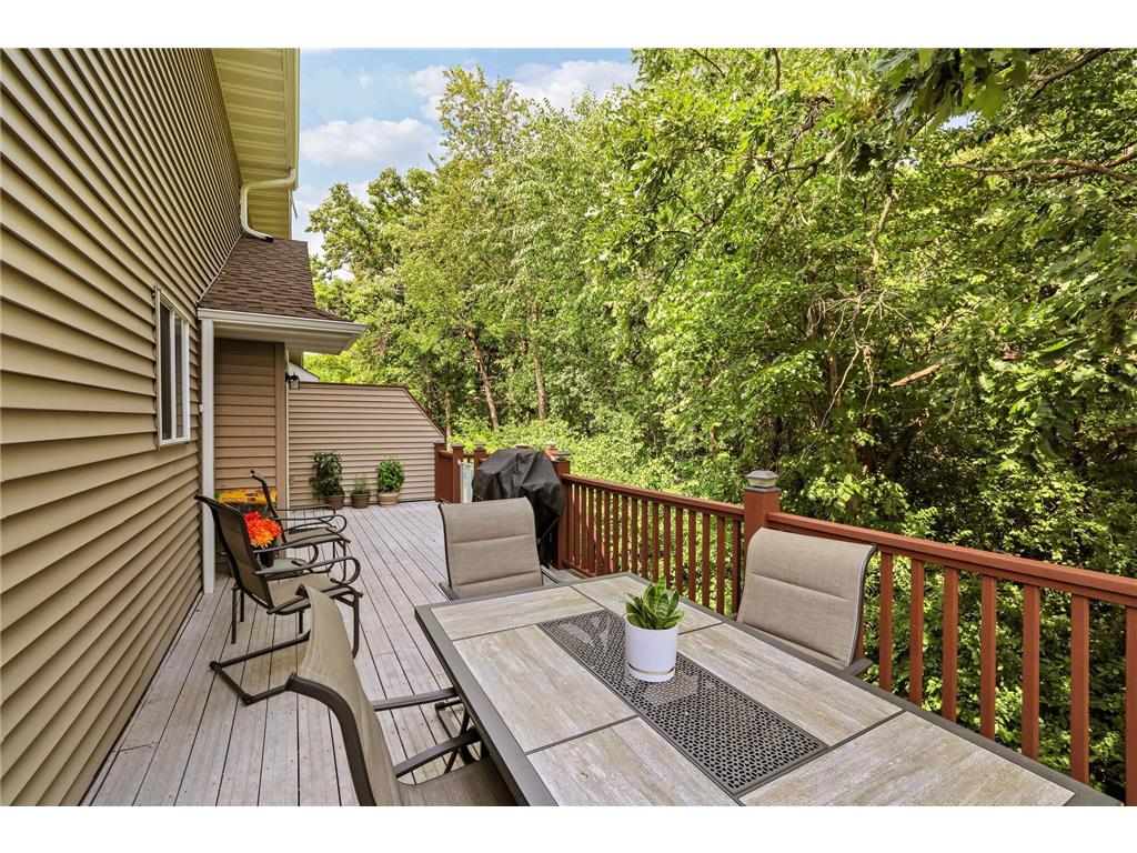 14995 Chestnut Lane Savage MN 55378 7103217 image29