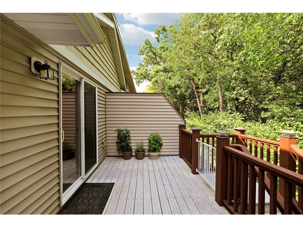 14995 Chestnut Lane Savage MN 55378 7103217 image30