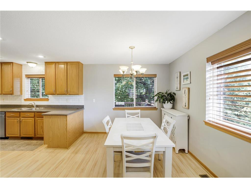 14995 Chestnut Lane Savage MN 55378 7103217 image9
