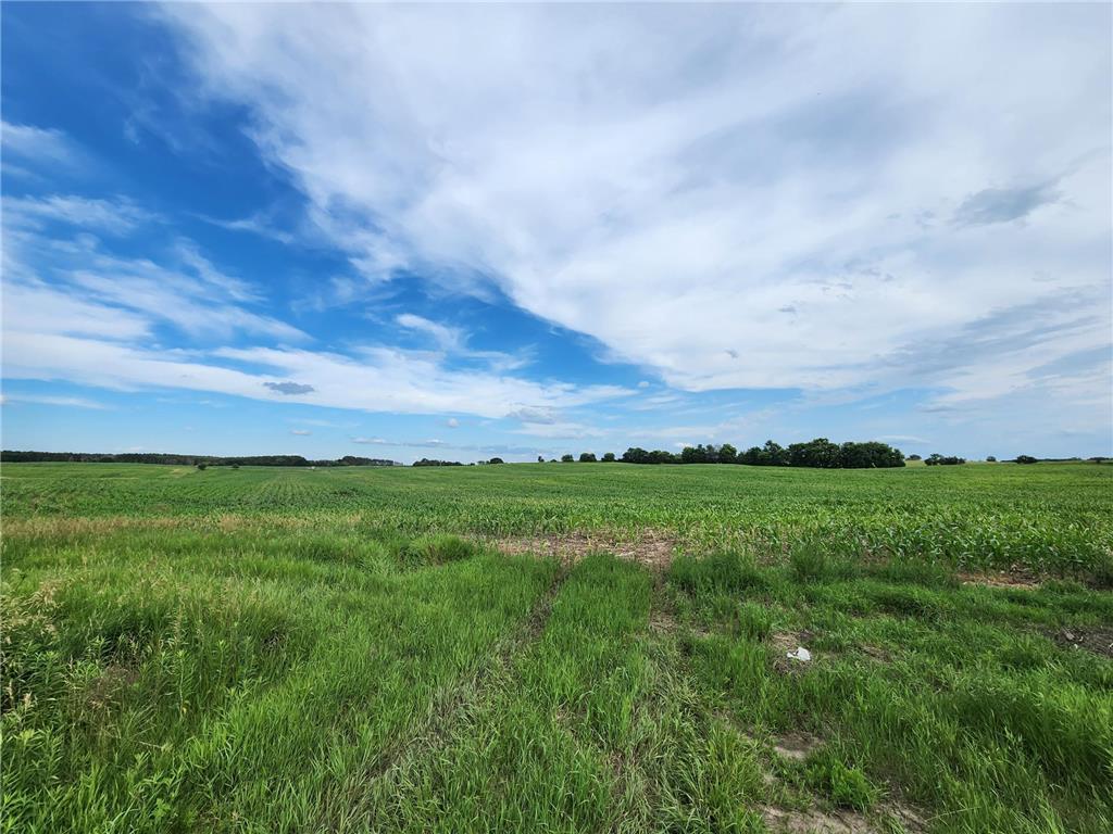14XX1 Paul Avenue N Paul Avenue N May Twp MN 55047 6746406 image1