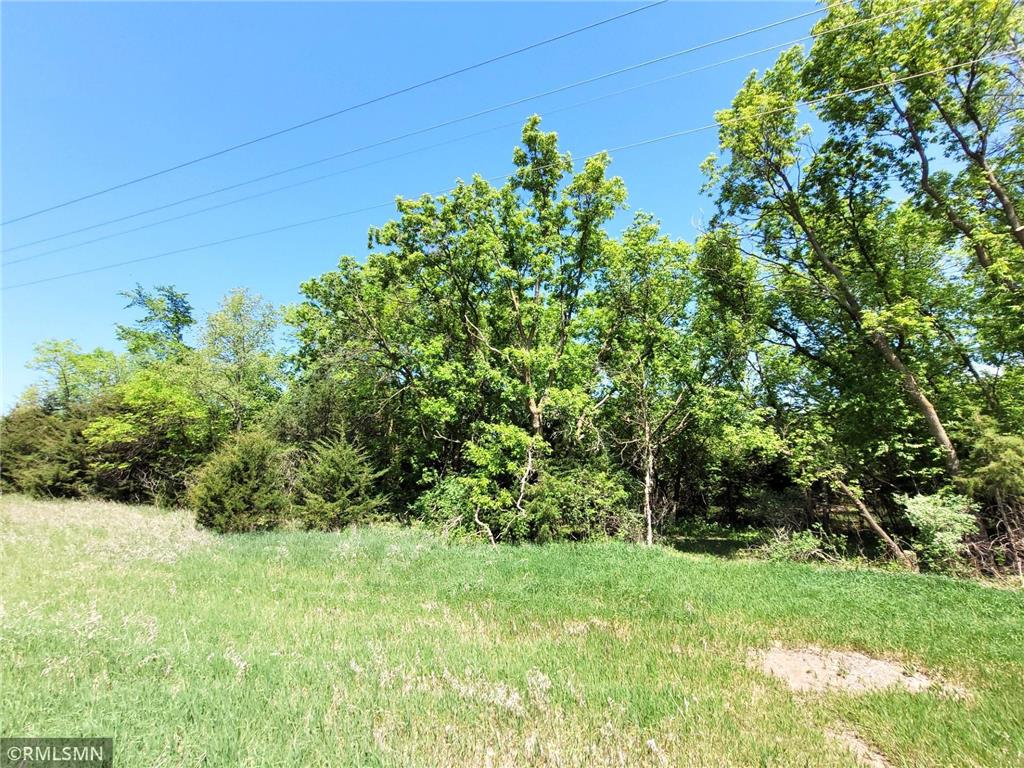 14XXX County Road 44 South Haven MN 55382 6719421 image10