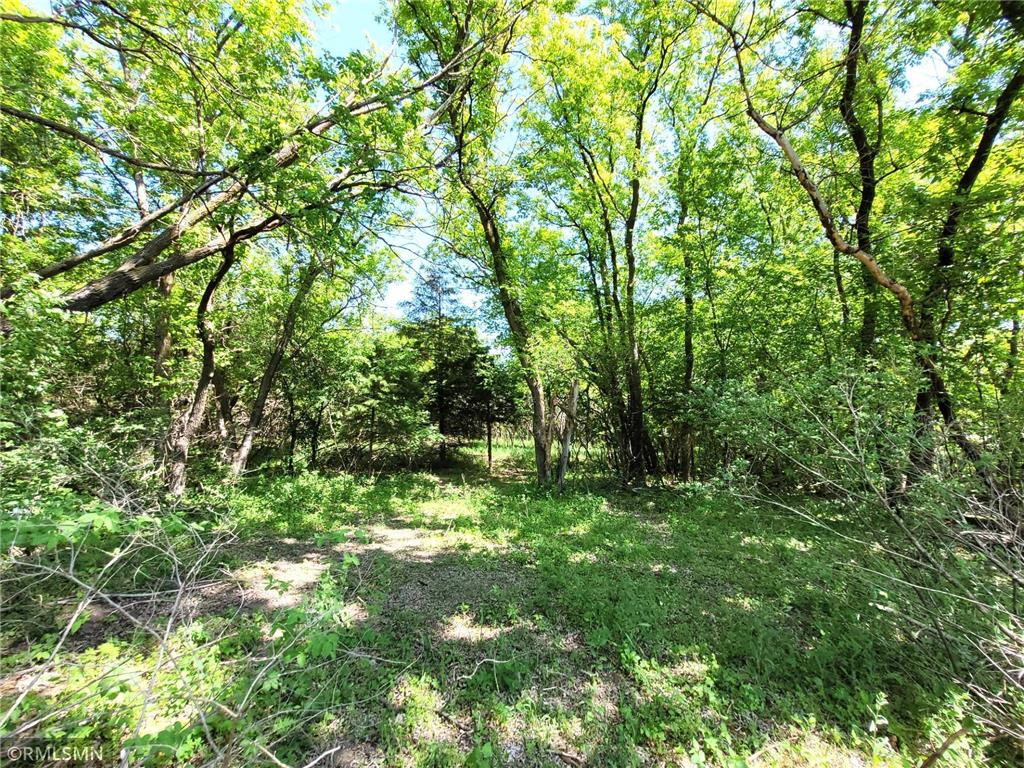 14XXX County Road 44 South Haven MN 55382 6719421 image11