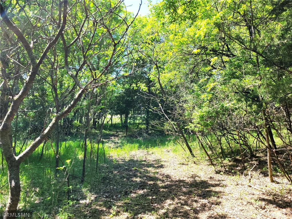 14XXX County Road 44 South Haven MN 55382 6719421 image14