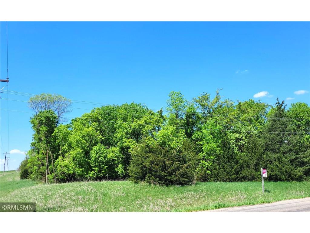 14XXX County Road 44 South Haven MN 55382 6719421 image15