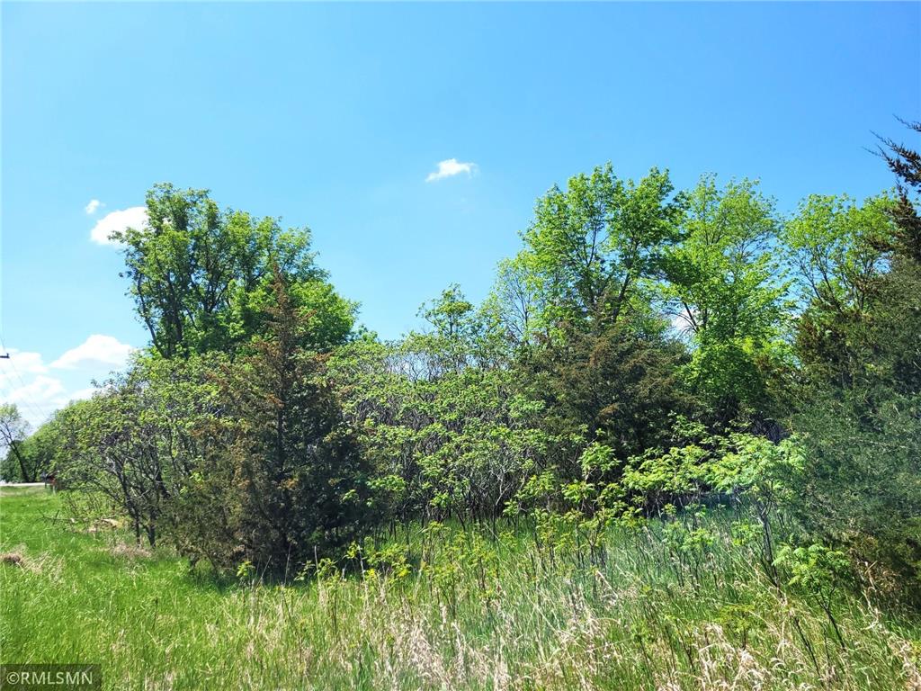 14XXX County Road 44 South Haven MN 55382 6719421 image16