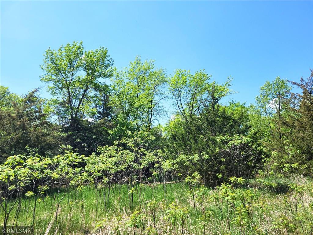 14XXX County Road 44 South Haven MN 55382 6719421 image17