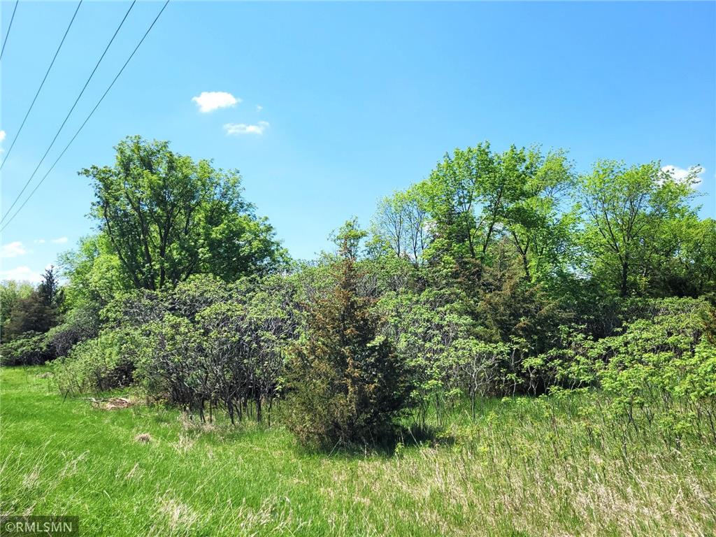 14XXX County Road 44 South Haven MN 55382 6719421 image19