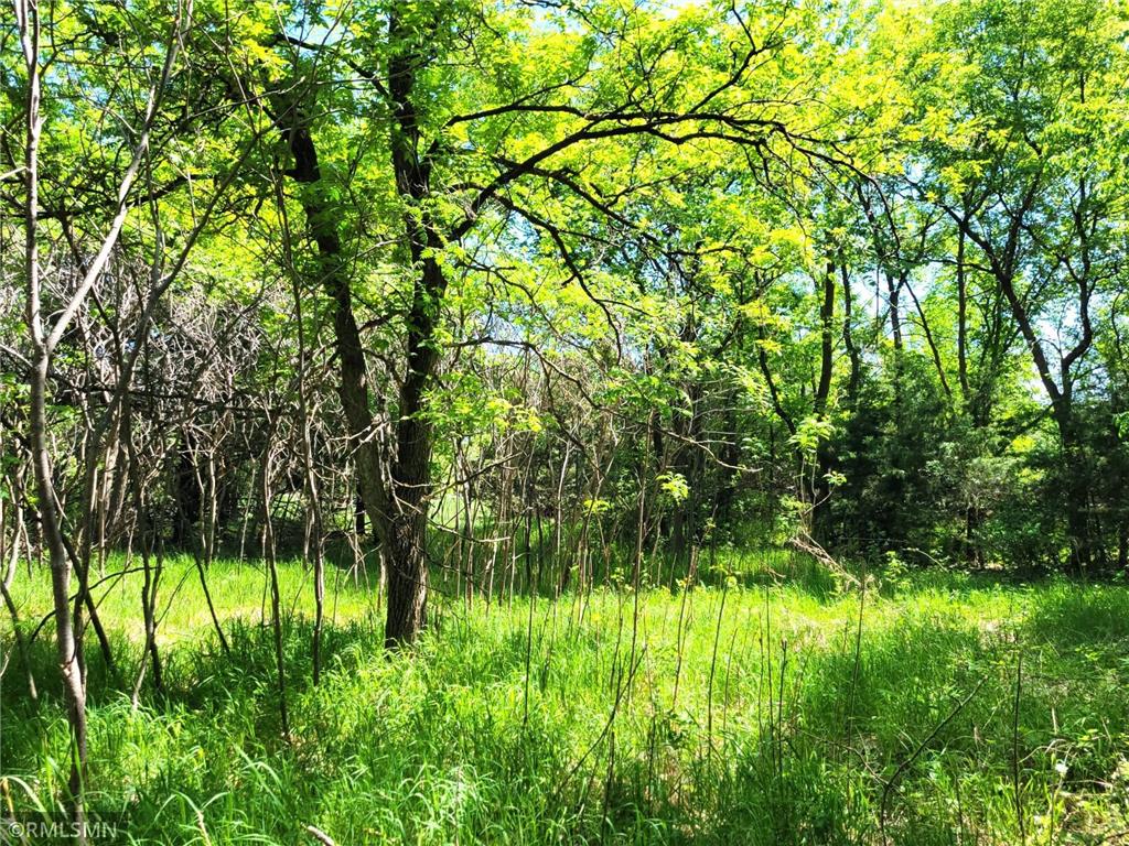 14XXX County Road 44 South Haven MN 55382 6719421 image2