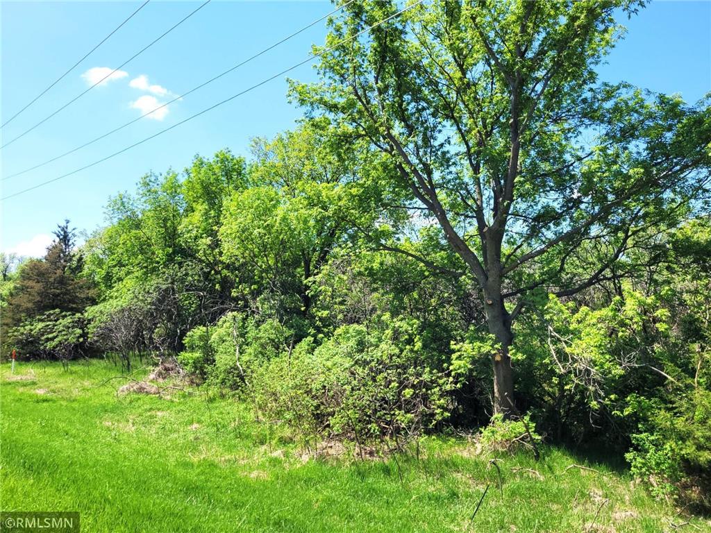 14XXX County Road 44 South Haven MN 55382 6719421 image21