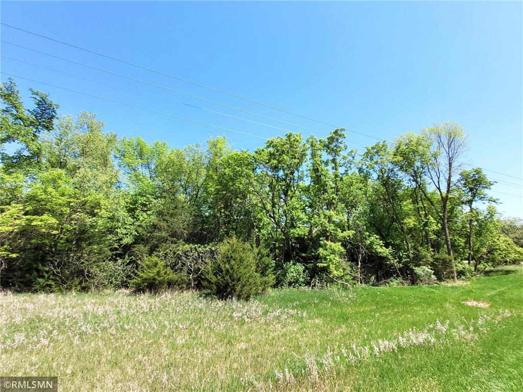 14XXX County Road 44 South Haven MN 55382 6719421 image23