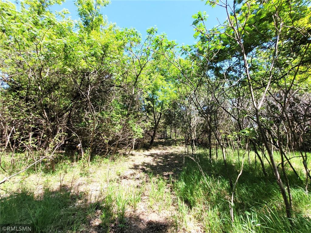 14XXX County Road 44 South Haven MN 55382 6719421 image6