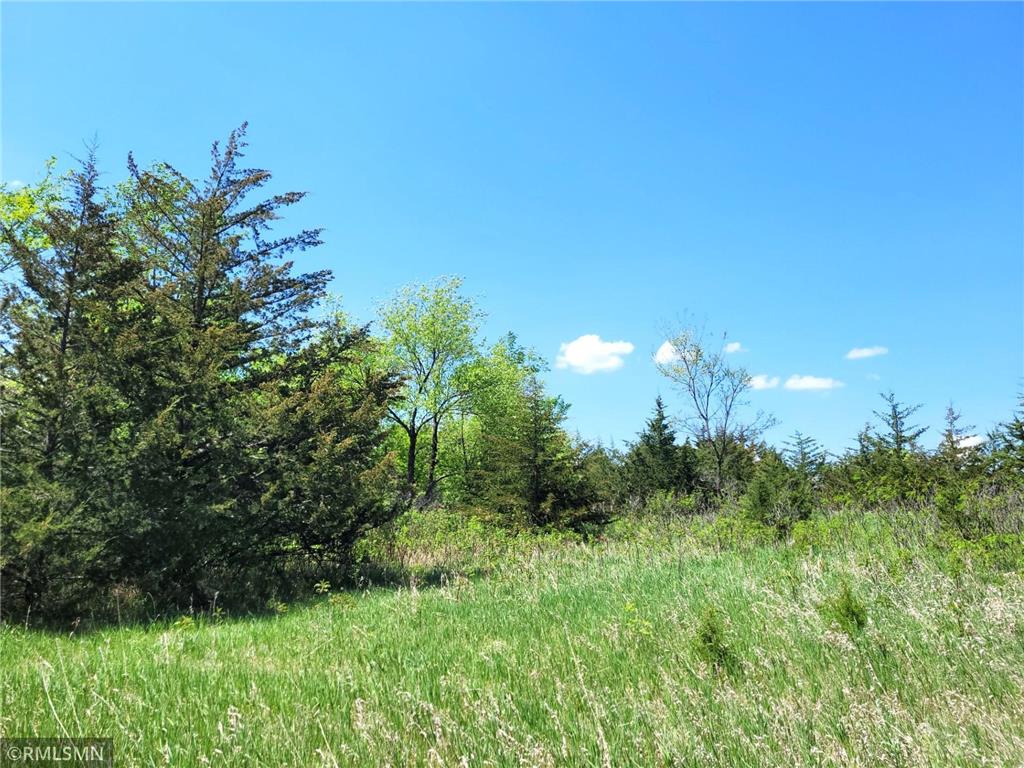 14XXX County Road 44 South Haven MN 55382 6719421 image7