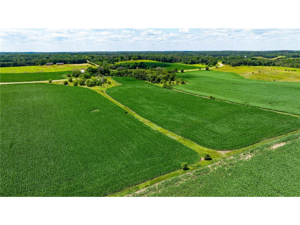 14XXX Paul Avenue N May Twp MN 55047 6746389 image1