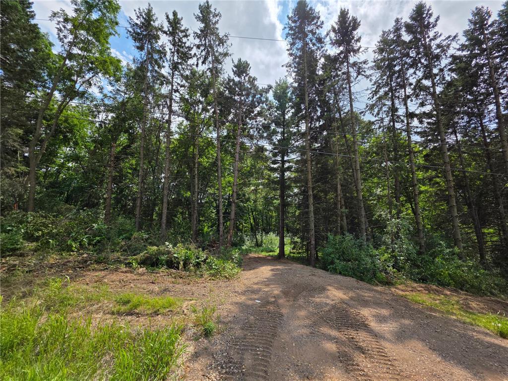 14xxx Dellwood Road N Stillwater Twp MN 55082 - Browns Creek 6767648 image4