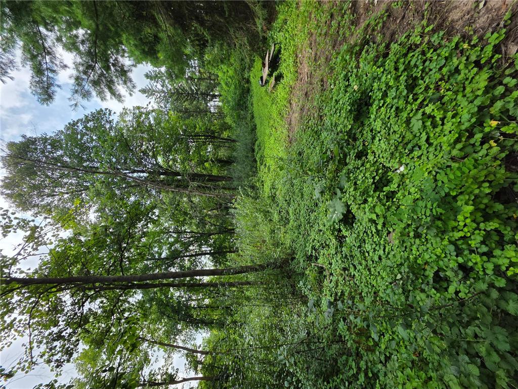 14xxx Dellwood Road N Stillwater Twp MN 55082 - Browns Creek 6767648 image6