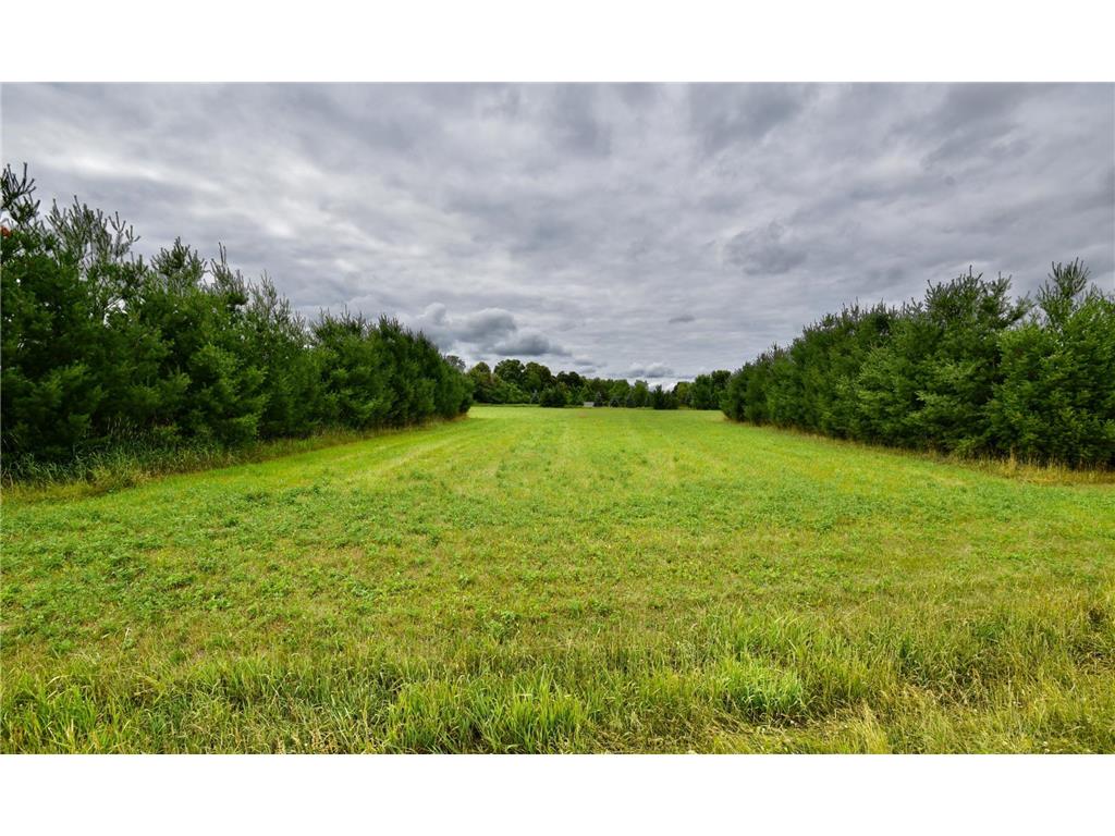 14xxx Green Meadow Road Borgholm Twp MN 56353 6367119 image1