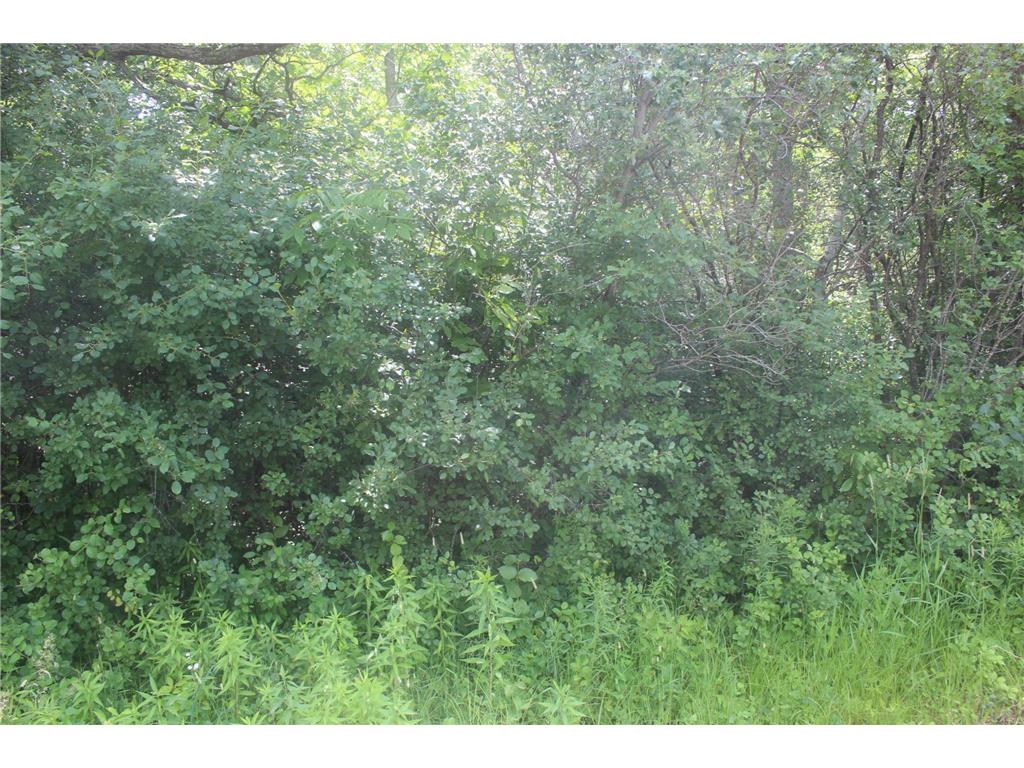 14xxx Green Meadow Road Milaca MN 56353 7104329 image3