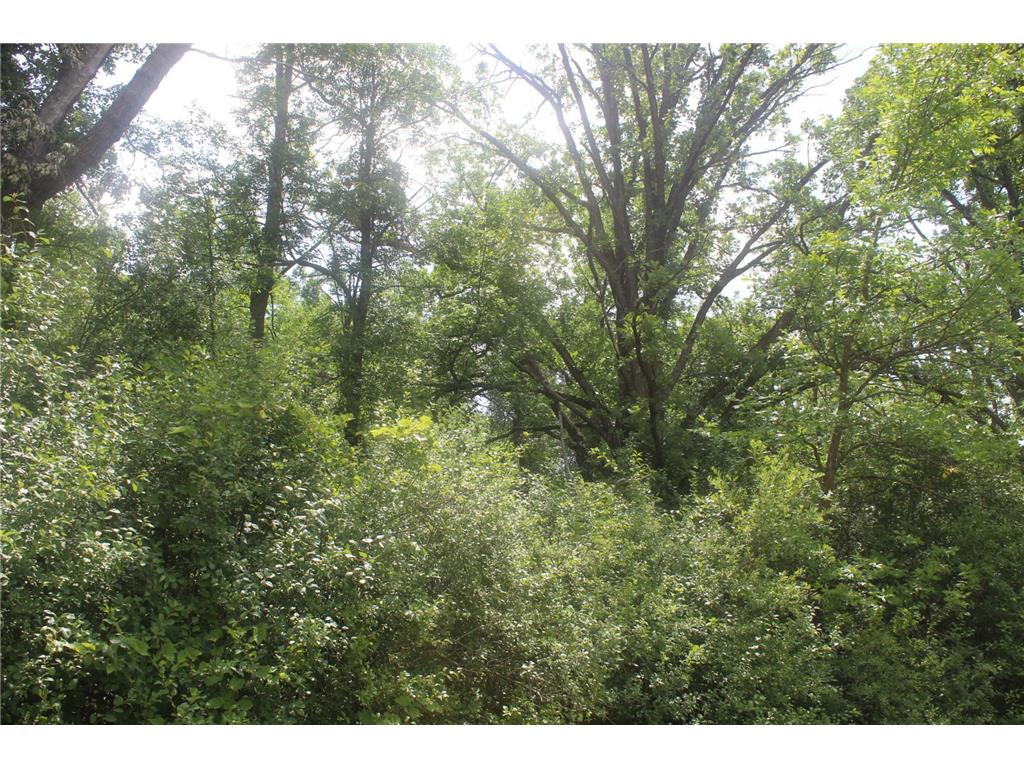 14xxx Green Meadow Road Milaca MN 56353 7104329 image4