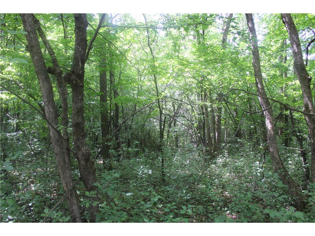 14xxx Green Meadow Road Milaca MN 56353 7104329 image6