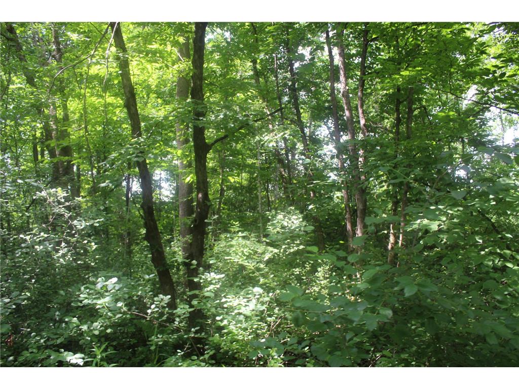 14xxx Green Meadow Road Milaca MN 56353 7104329 image8