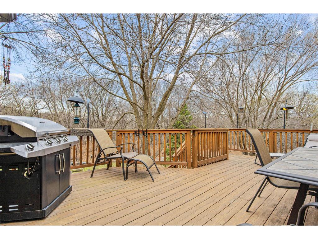 15 Apfelridge Court South Saint Paul MN 55075 7053199 image13