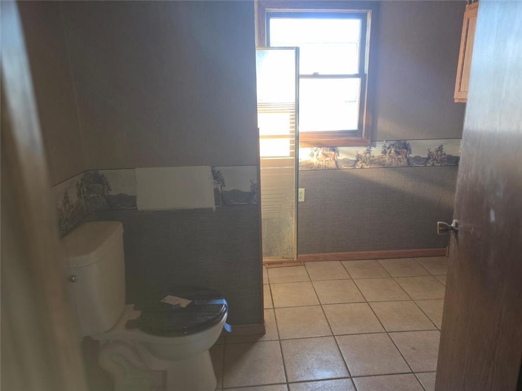 15 Birch Avenue Bird Island MN 55310 7031788 image11