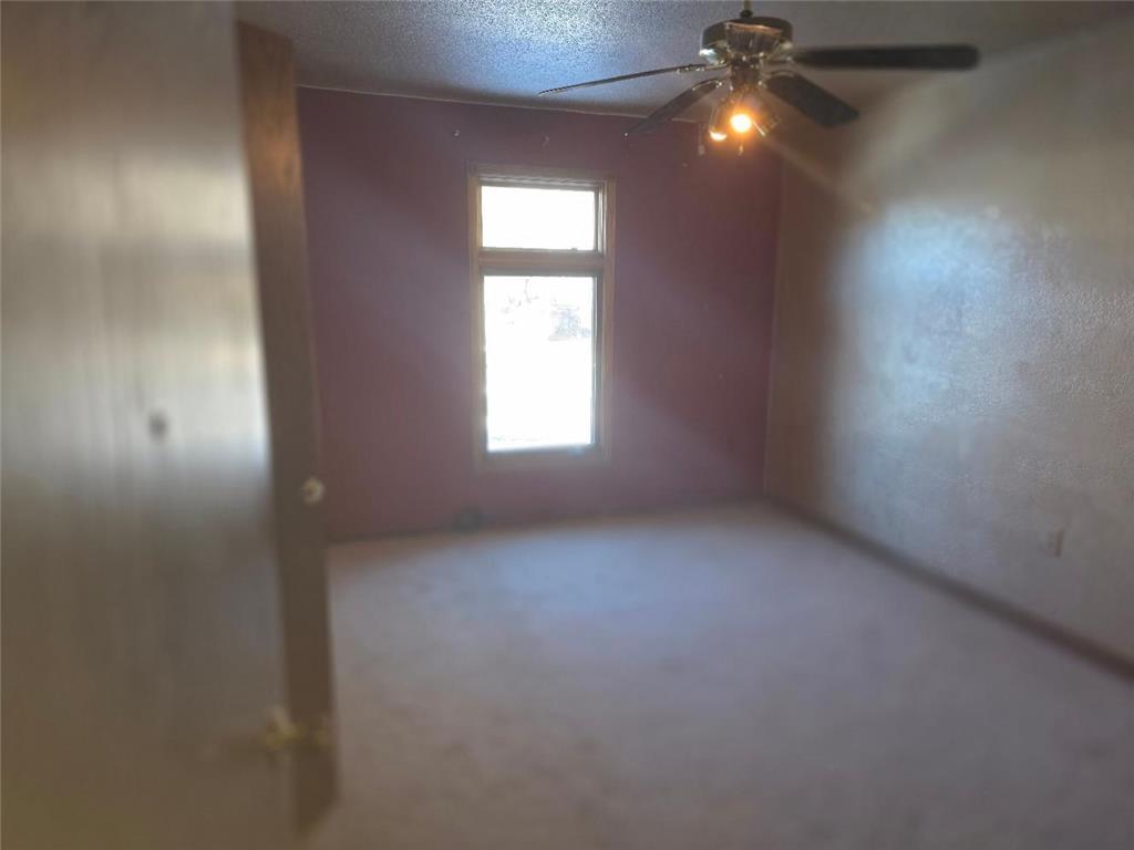 15 Birch Avenue Bird Island MN 55310 7031788 image6