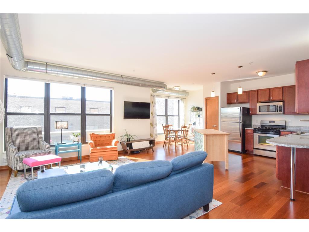 15 E Franklin Avenue #201 Minneapolis MN 55404 6552220 image1
