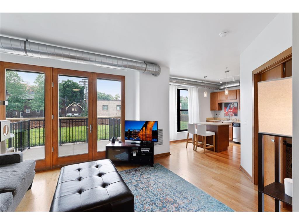 15 E Franklin Avenue #211 Minneapolis MN 55404 7063936 image1