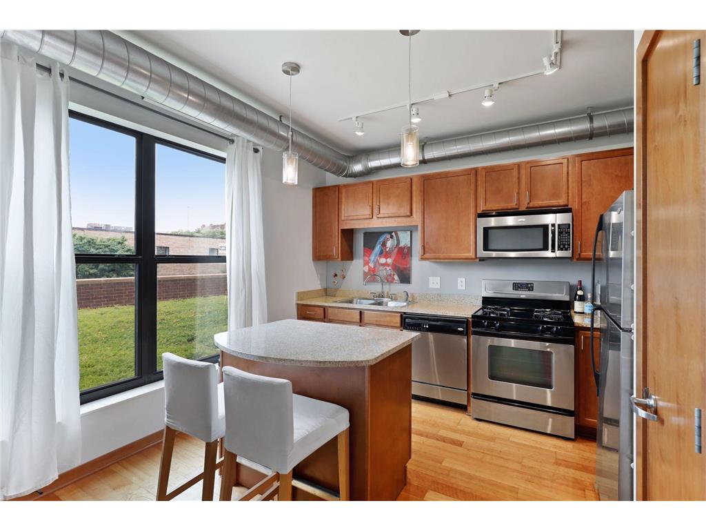 15 E Franklin Avenue #211 Minneapolis MN 55404 7063936 image4