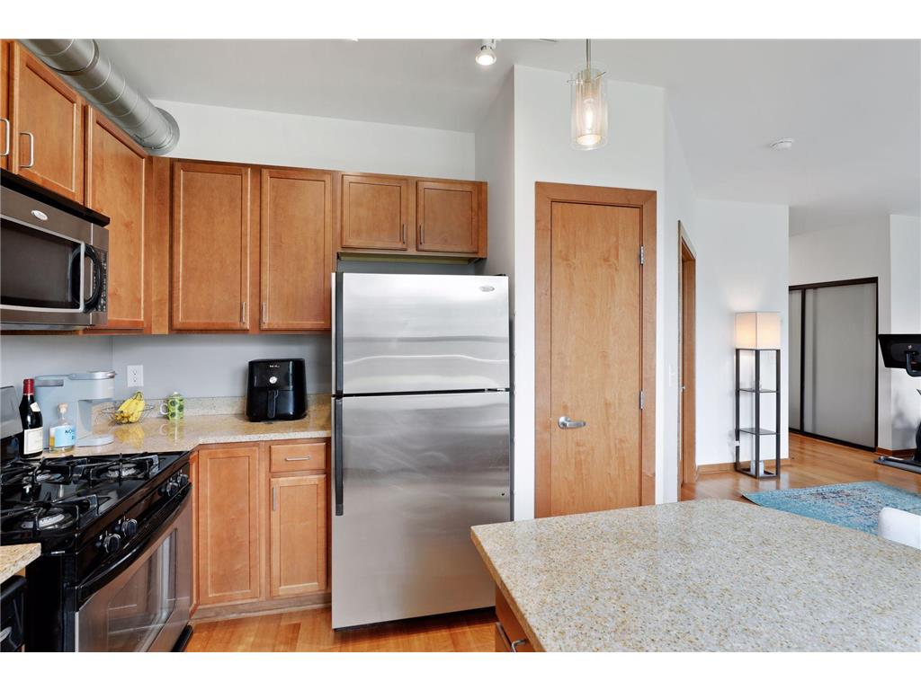 15 E Franklin Avenue #211 Minneapolis MN 55404 7063936 image5