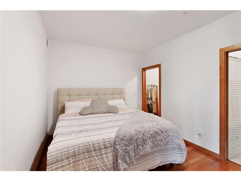 15 E Franklin Avenue #211 Minneapolis MN 55404 7063936 image6