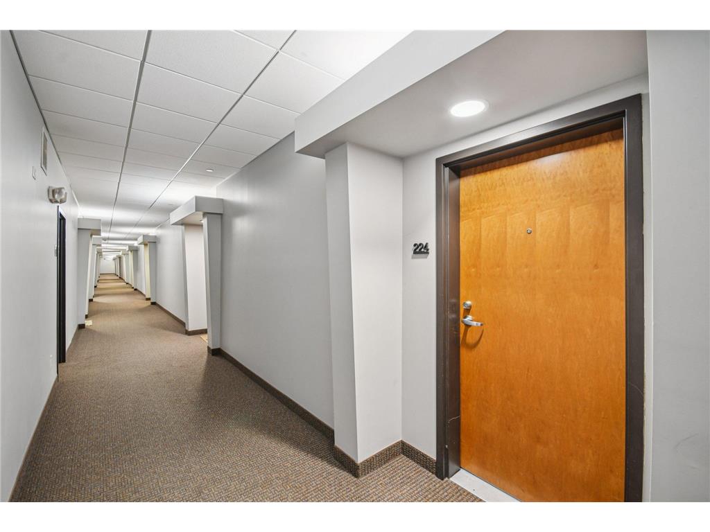 15 E Franklin Avenue #224 Minneapolis MN 55404 7029920 image22